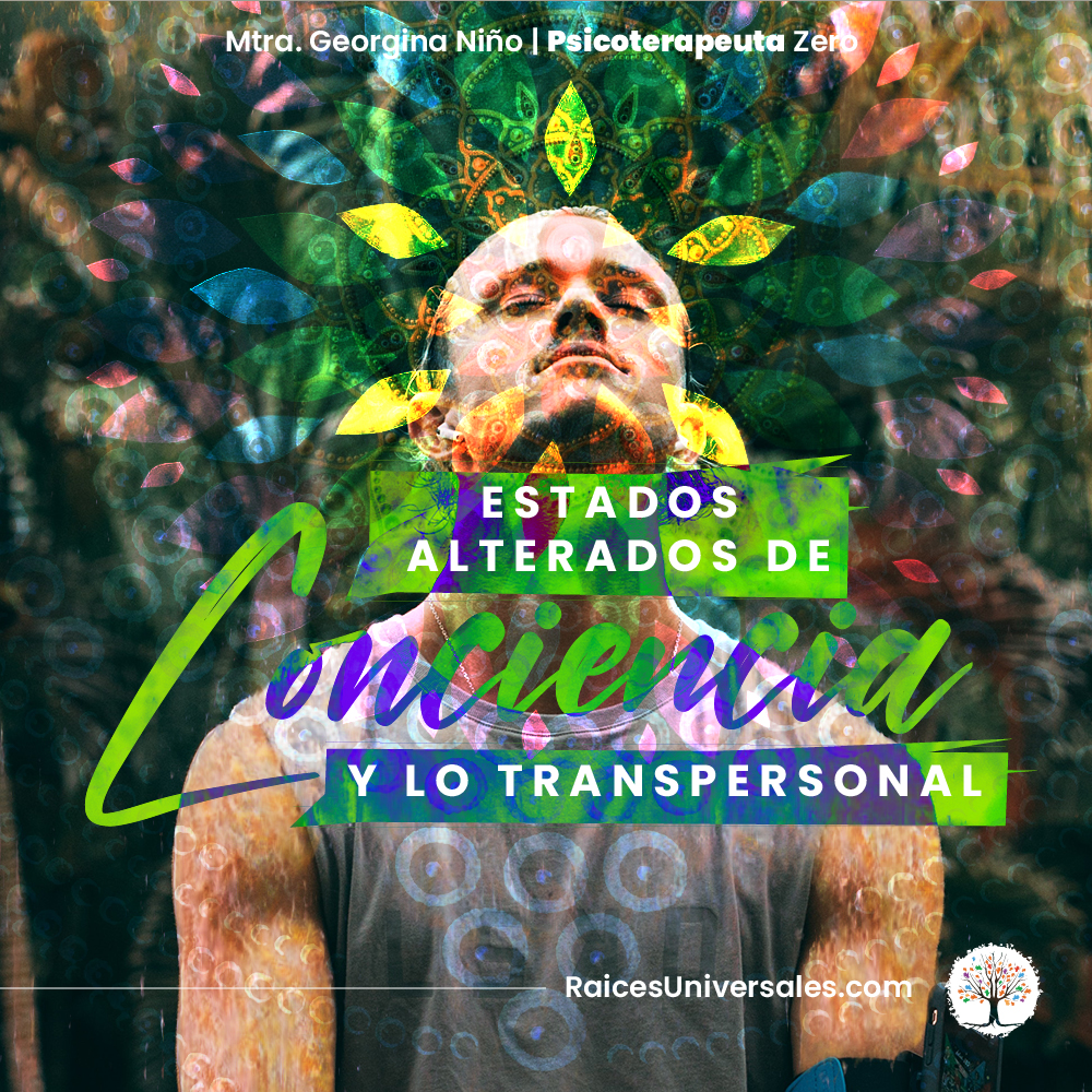 Original Raíces Universales social media work